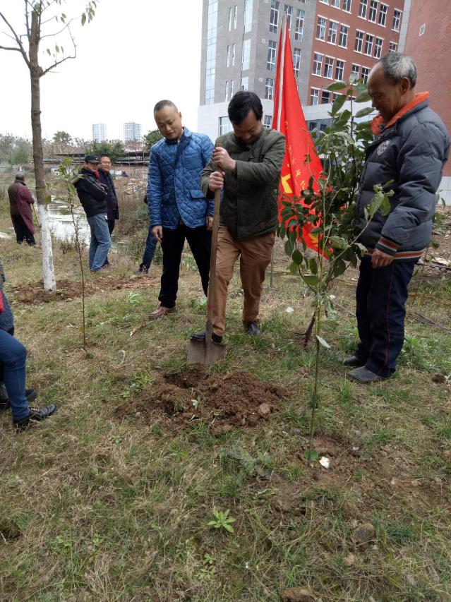 点击查看原图