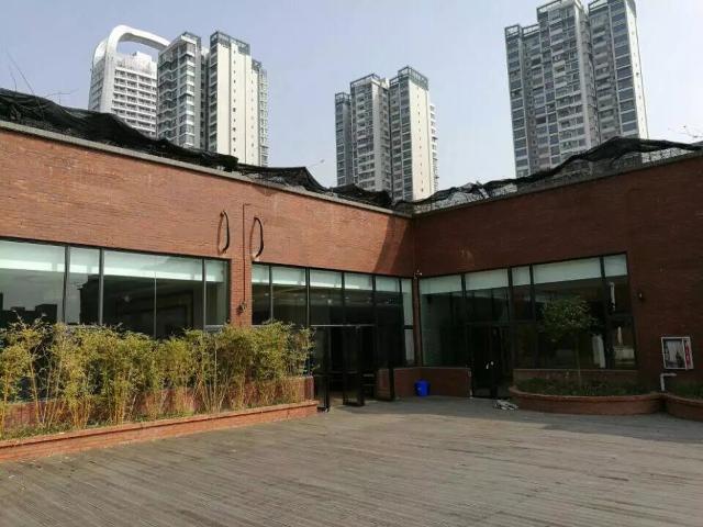 点击查看原图