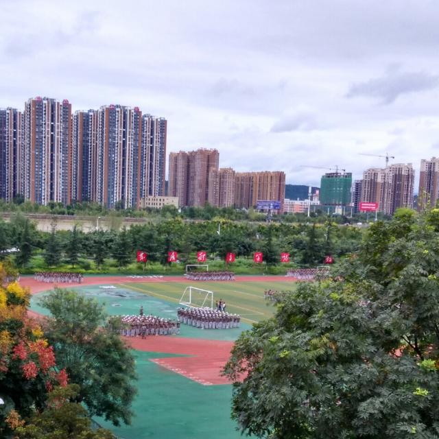 点击查看原图
