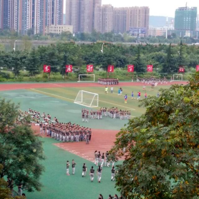 点击查看原图