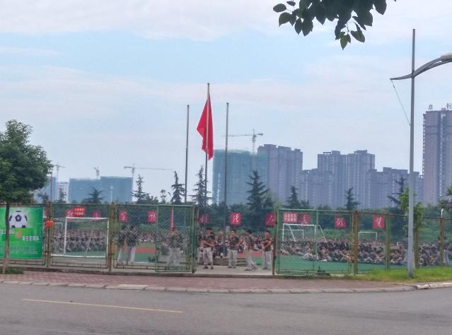 点击查看原图